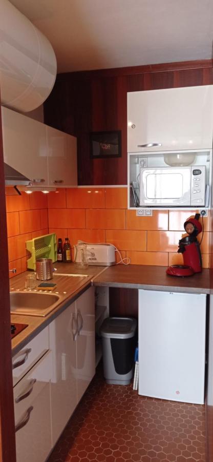 Appartement St Lary Soulan Pied Des Pistes Saint-Lary-Soulan Bagian luar foto