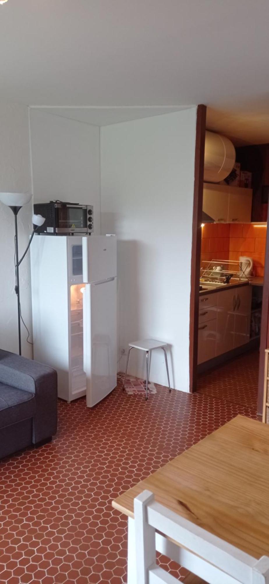 Appartement St Lary Soulan Pied Des Pistes Saint-Lary-Soulan Bagian luar foto